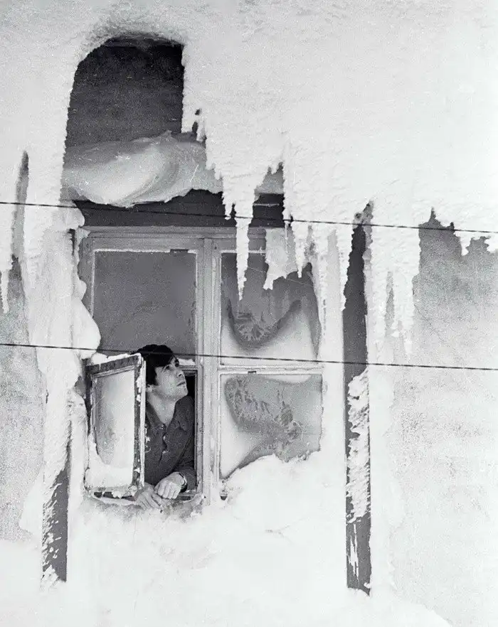 Его Ворсейшество: Краткая история русского ковра