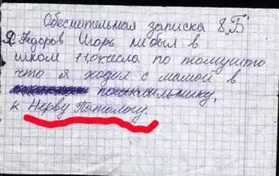 Записи в школьных дневниках и тетрадях