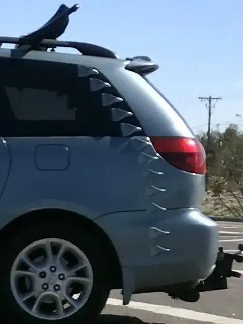 Автовсячина