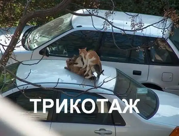 Игра слов в картинках