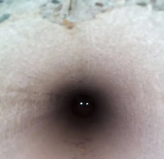 Прикольные картинки абавсём:D