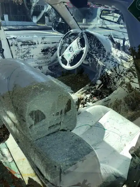 Автовсячина