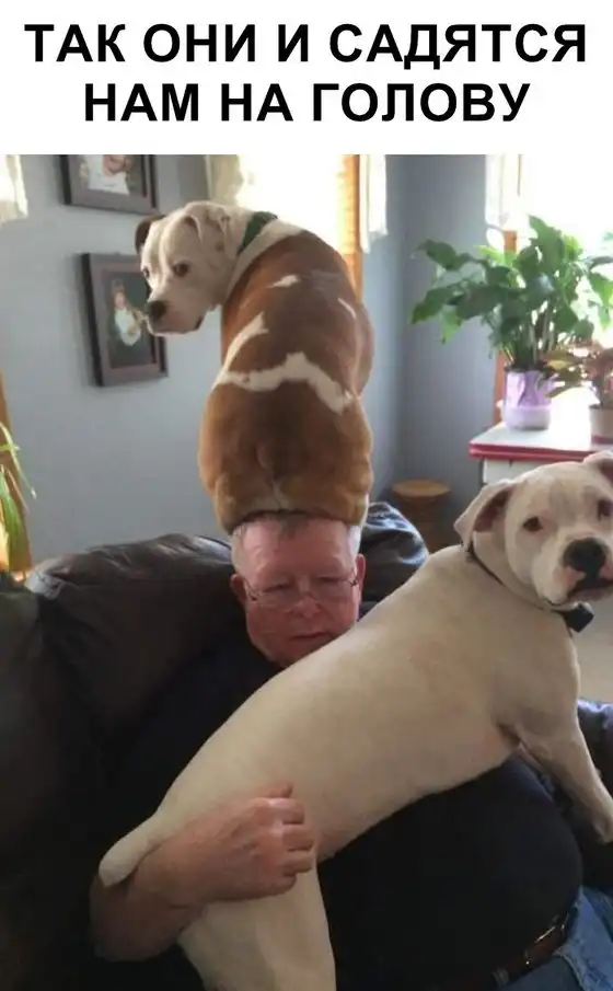 Немного картинок для настроения