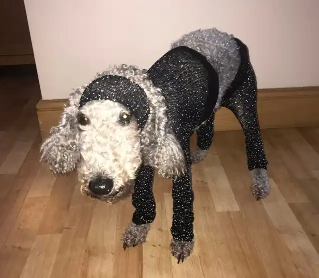 Заказала в интернет-магазине наряд для вечеринок