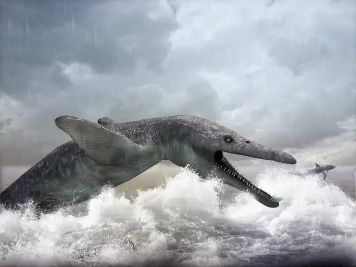 Лиоплевродон: Когда акулы курят в сторонке