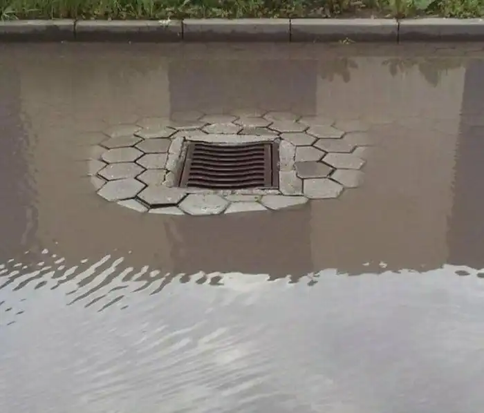 15 глупых вещей, которые соревнуются за звание "Бесполезная фигня"