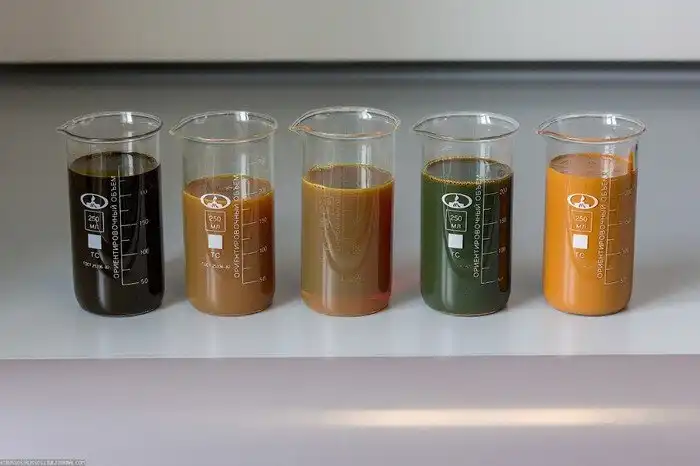 Что такое нефть и как она могла появиться на Земле?