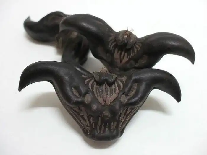 25 примеров когда шишка не только главная, но еще и красивая