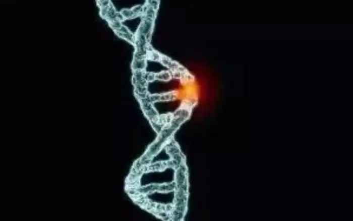 Жестокое обращение с детьми оставляет "шрамы" на их ДНК