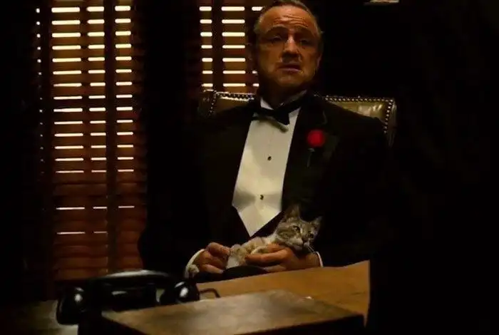 19 крутых сцен из фильмов, которых не было в сценарии, и они получились случайно