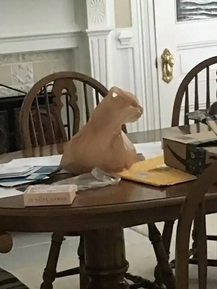 15 фотографий предметов, чей уровень маскировки обманет даже самый зоркий глаз