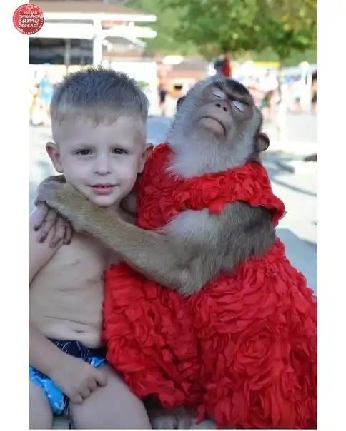 всякостей пост