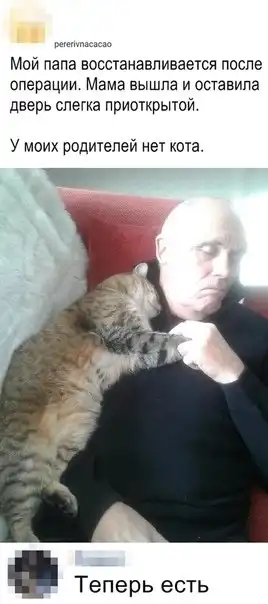 всякости из энторнета