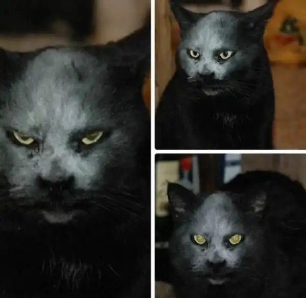 Подборка картинок