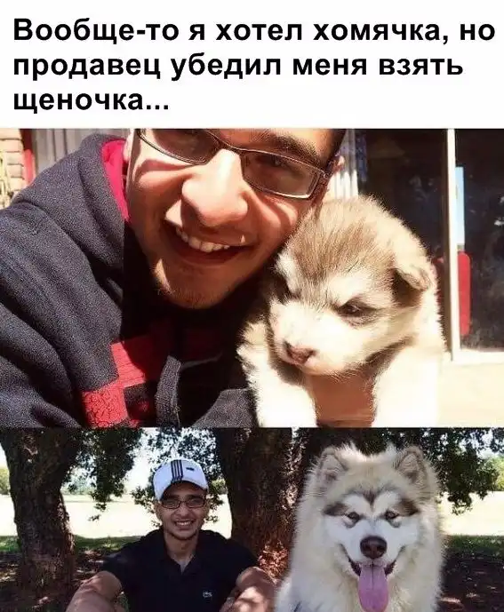 Немного картинок для настроения