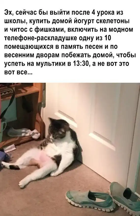 Скрины из социальных сетей