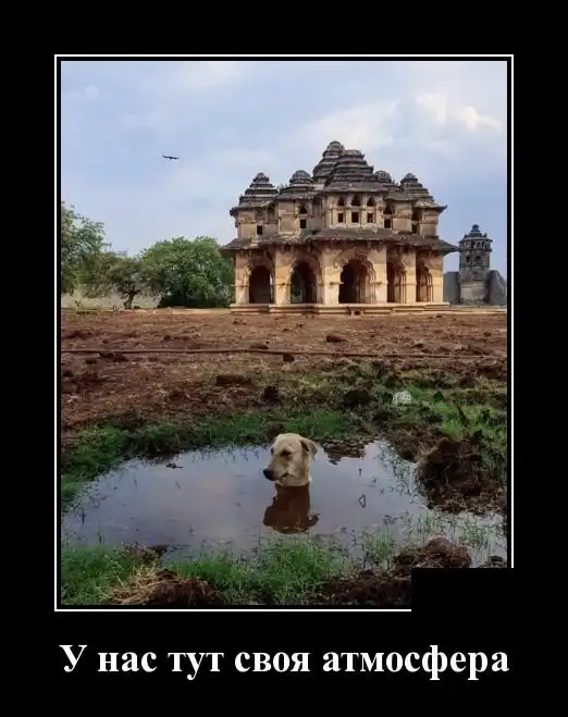 Демотиваторы