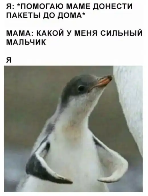 Прикольные картинки абавсём:D