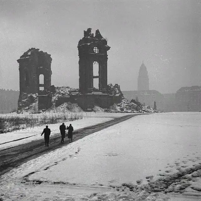 Почему немцы удивляются массовой истерии по поводу Собора Парижской Богоматери?