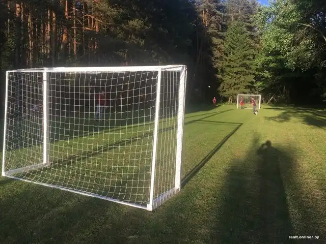 Жители белорусской деревни сделали своими руками футбольное поле, но лесхозу это "не понравилось"