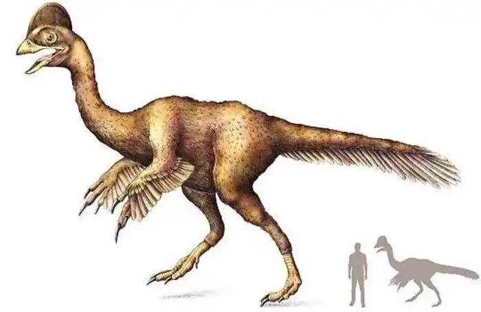 Анзу: Адская курочка из Мезозоя