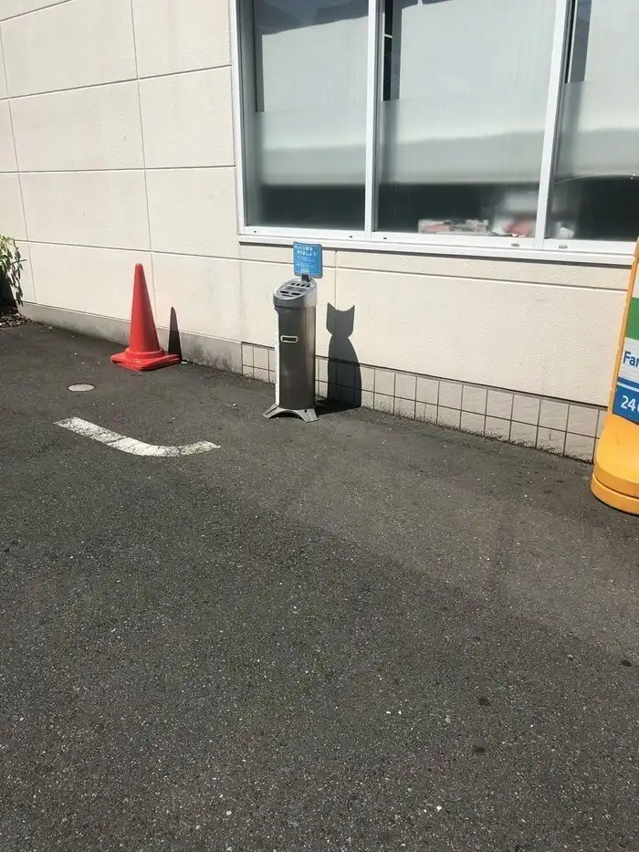 17 забавных фотографий, на которые придётся взглянуть дважды