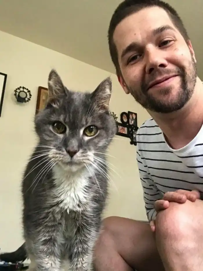 20 домашних животных-пенсионеров, которые с возрастом не потеряли своего великолепия