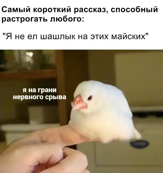 Немного картинок для настроения