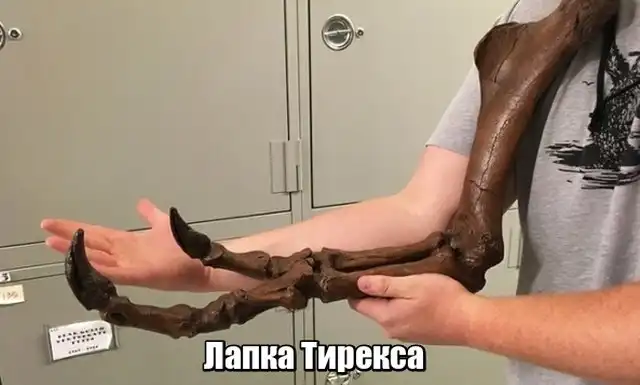 Прикольные картинки абавсём:D