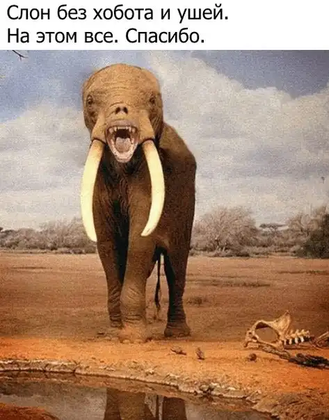 Сам не свой