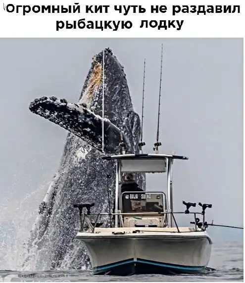 Анекдоты, истории и картинки с надписями