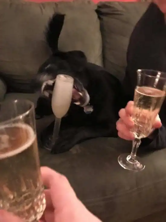 Прикольные картинки абавсём:D