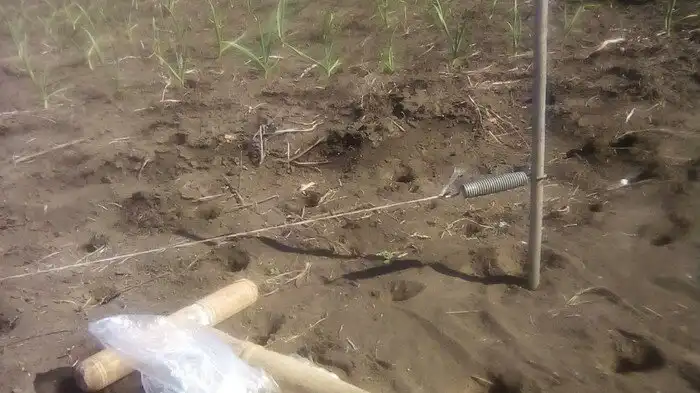 Дачный сезон открыт