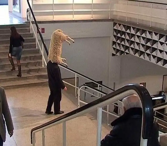 25 странностей и совпадений, в которые бы никто не поверил, если бы не фото