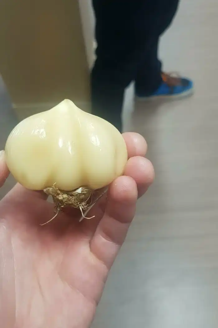 17 снимков от людей, которым чертовски повезло с их неожиданными находками