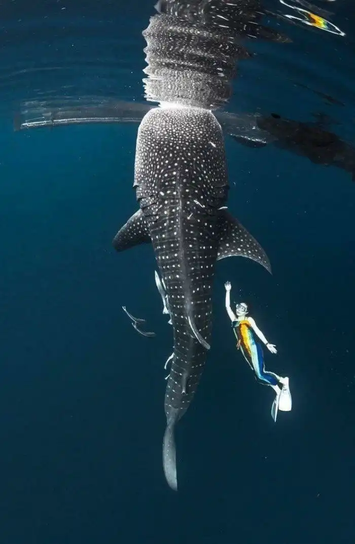 20 душевных фотографий, которые растопят ваше сердце и восполнят нехватку добра
