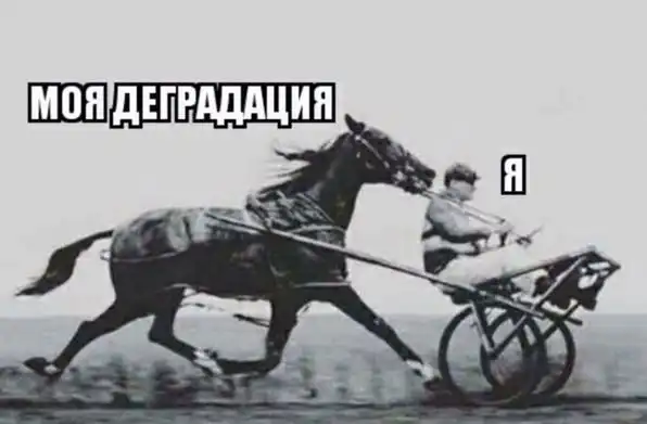 Отряды быстрого деградирования