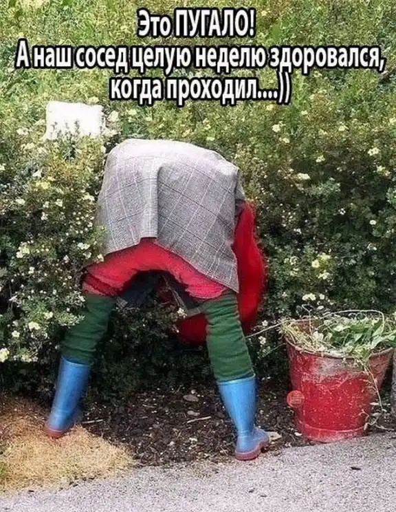 Лето, ах лето...