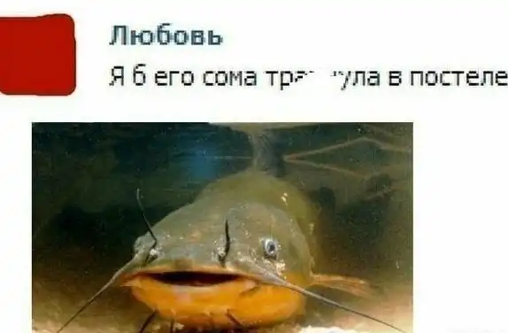 Неожиданные опечатки, над которыми вы будете смеяться до слез