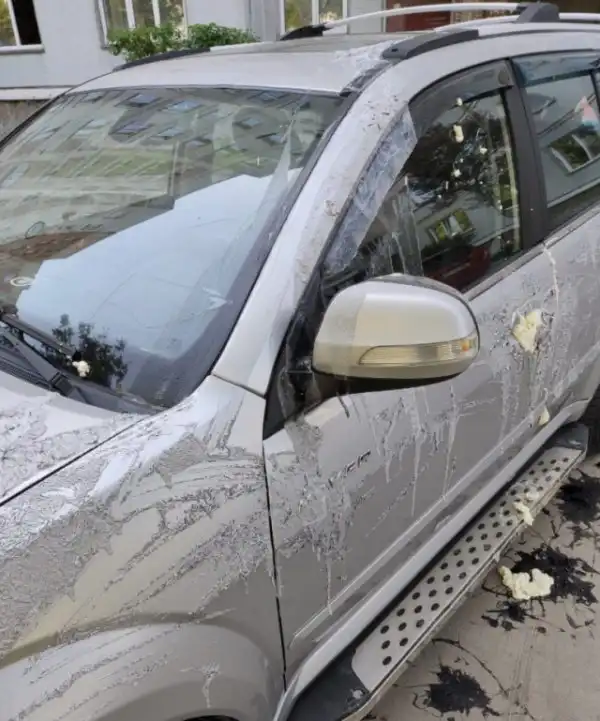 Неприятный сюрприз для автолюбителя из Новосибирска