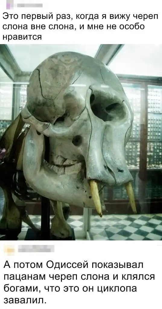 Скрины из социальных сетей