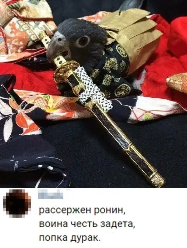 Скрины из социальных сетей