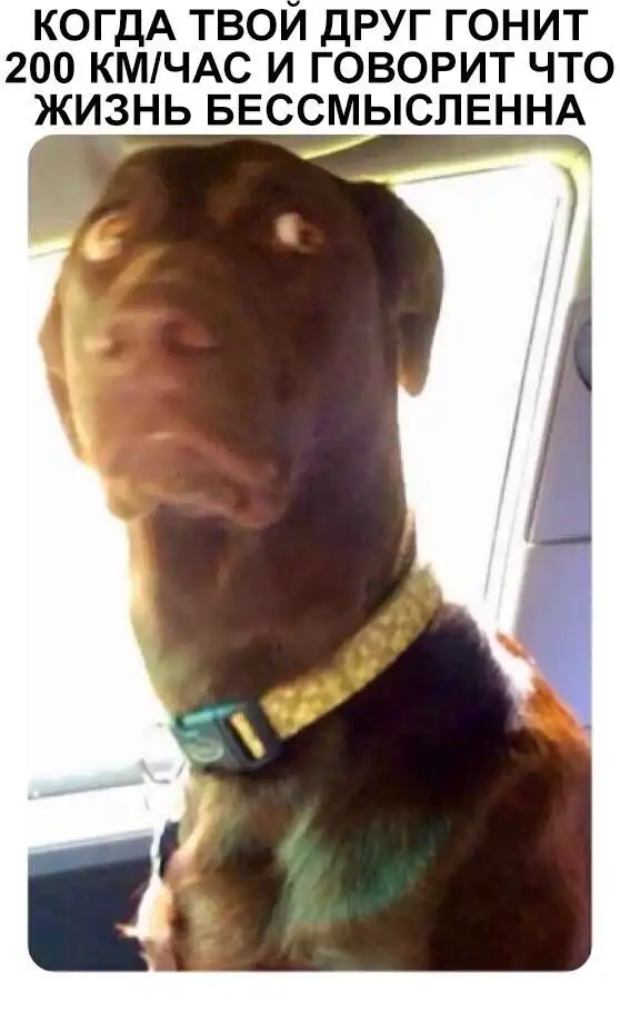 Нестандартный юмор :)