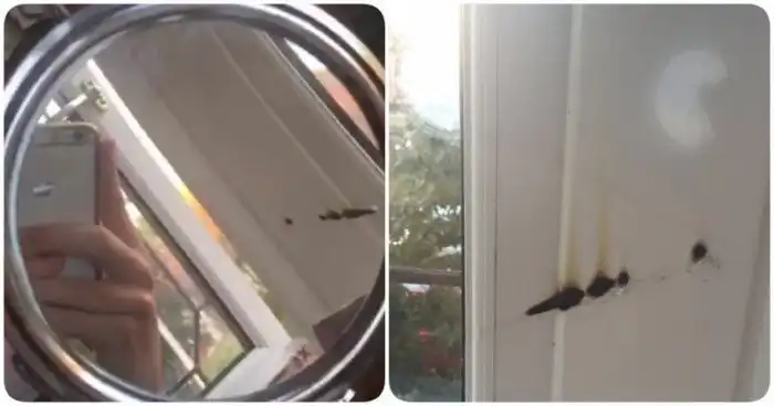 15 наглядных причин, почему нельзя оставлять зеркало у окна