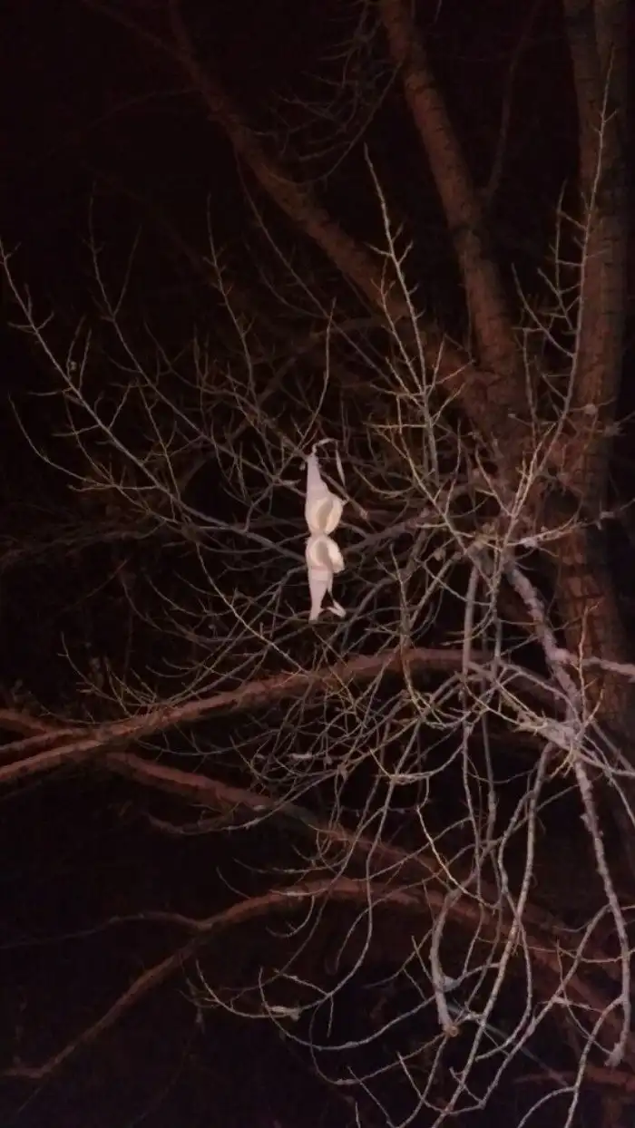 У каждой из этих фотографий есть своя идиотская предыстория