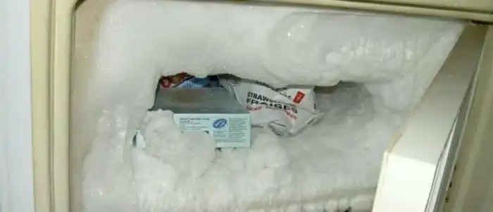 А что у вас в морозилке? 15 примеров забавного хранения в холодильнике
