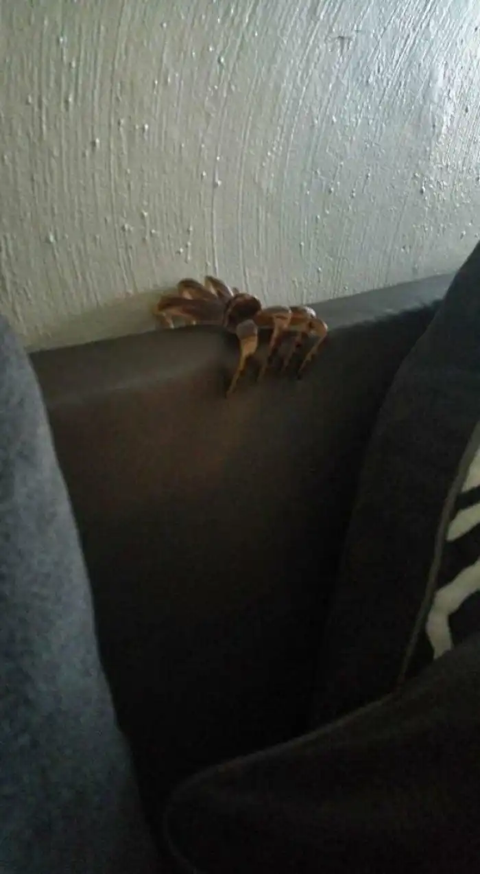 Чуть сердце не остановилось: 22 пугающие оптические иллюзии