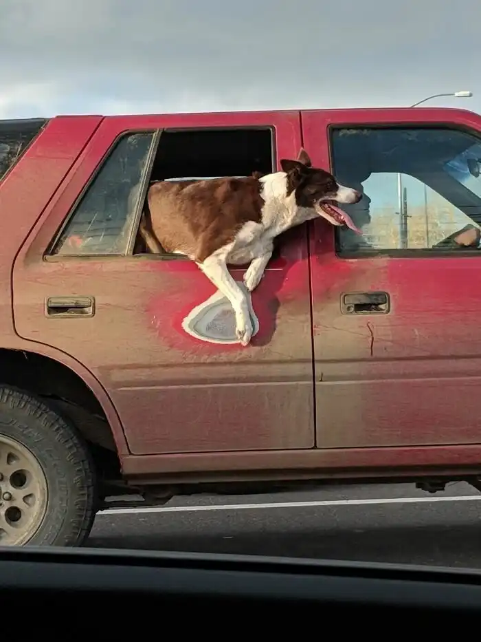 30 самых разных примеров того, как изнашиваются вещи со временем