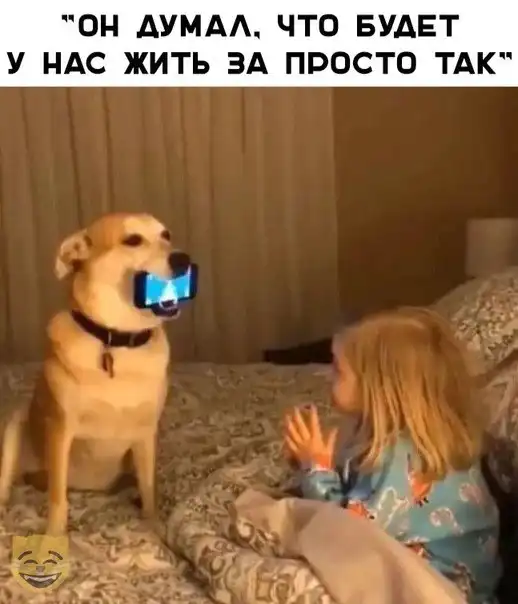 насобиралок пост