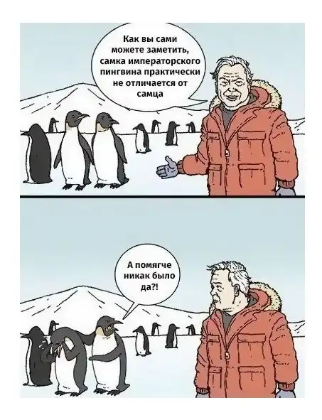 Не очень адекватный юмор